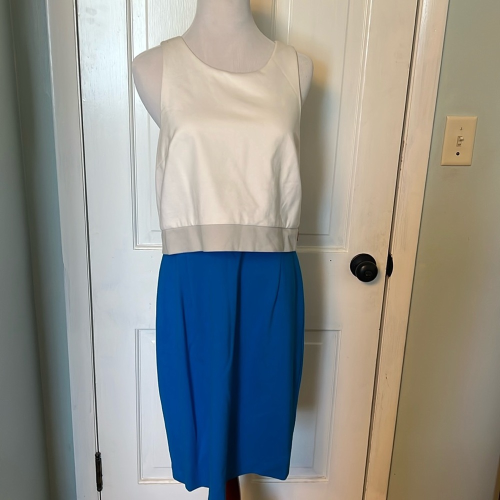 Catherine malandrino dress